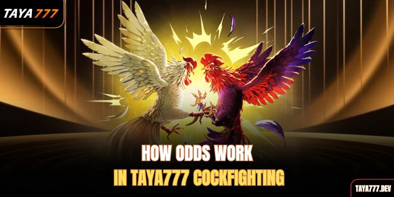 how-odds-work-in-taya777-cockfighting