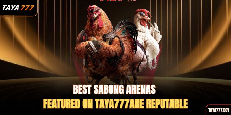 best-sabong-arenas-featured-on-taya777are-reputable