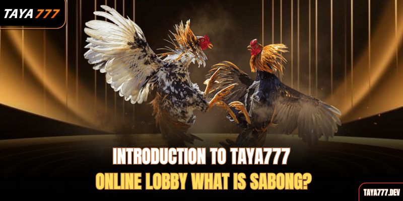 introduction-to-taya777-online-lobby-what-is-sabong