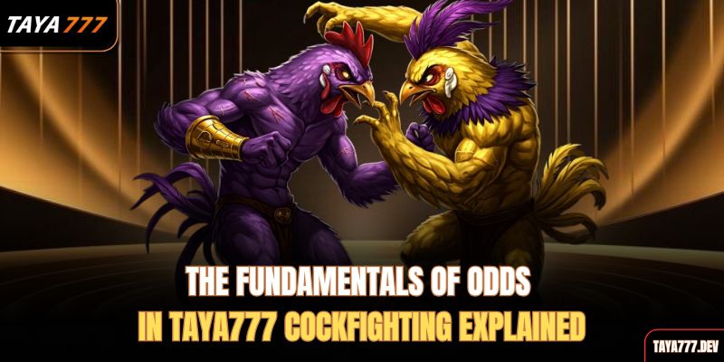 the-fundamentals-of-odds-in-taya777-cockfighting-explained