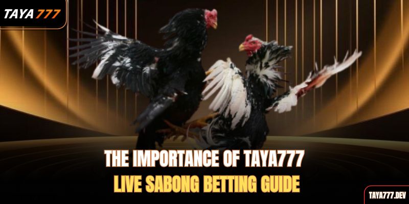 the-importance-of-taya777-live-sabong-betting-guide