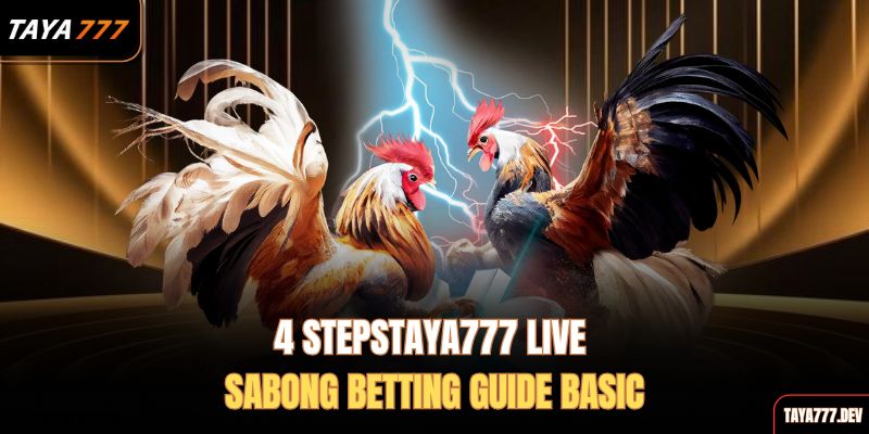  4-stepstaya777-live-sabong-betting-guide-basic