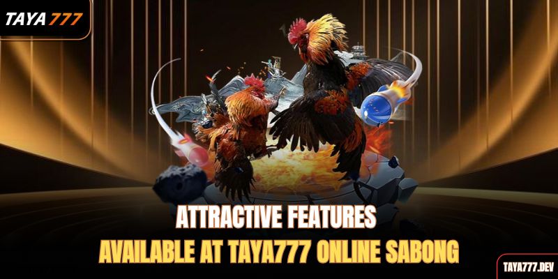attractive-features-available-at-taya777-online-sabong