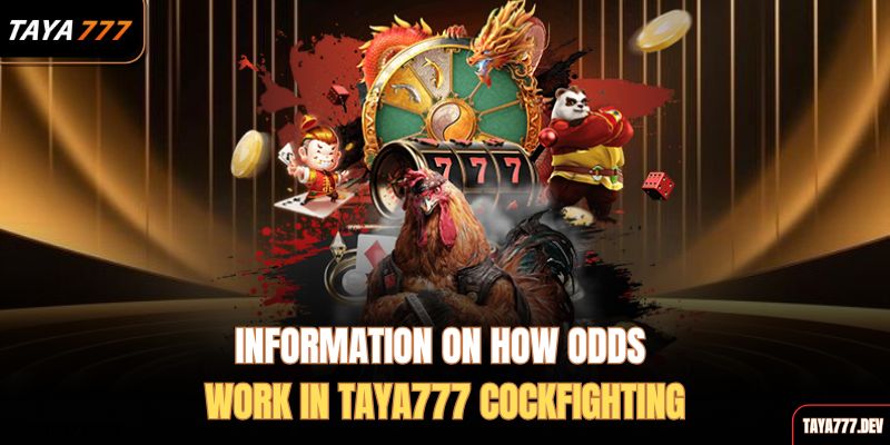 information-on-how-odds-work-in-taya777-cockfighting