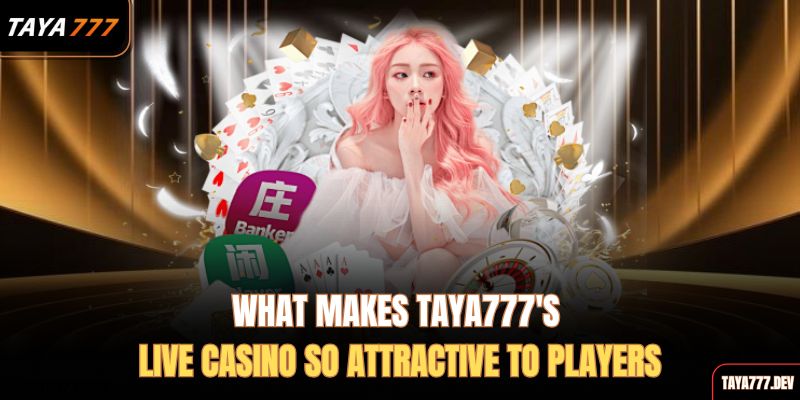  what-makes-taya777s-live-casino-so-attractive-to-players