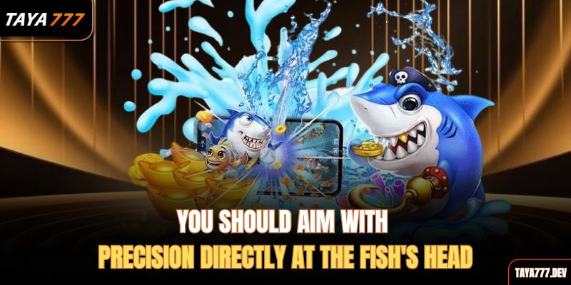 you-should-aim-with-precision-directly-at-the-fishs-head