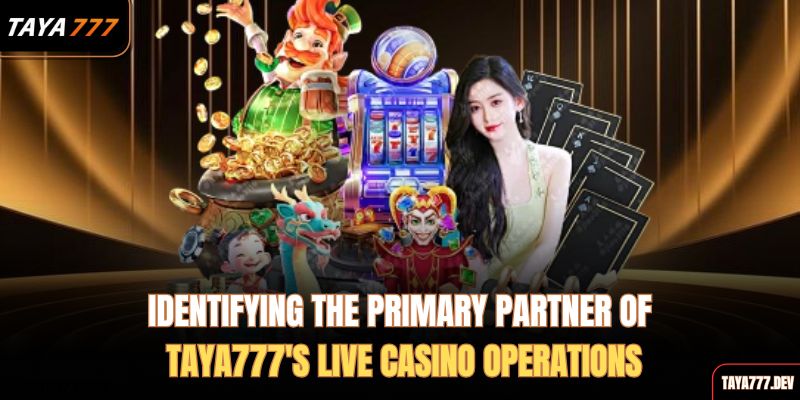 identifying-the-primary-partner-of-taya777s-live-casino-operations