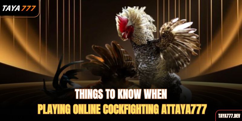 things-to-know-when-playing-online-cockfighting-attaya777
